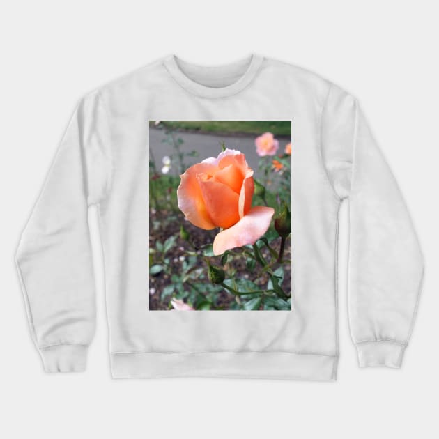 Peach Rosebud Crewneck Sweatshirt by pinkal